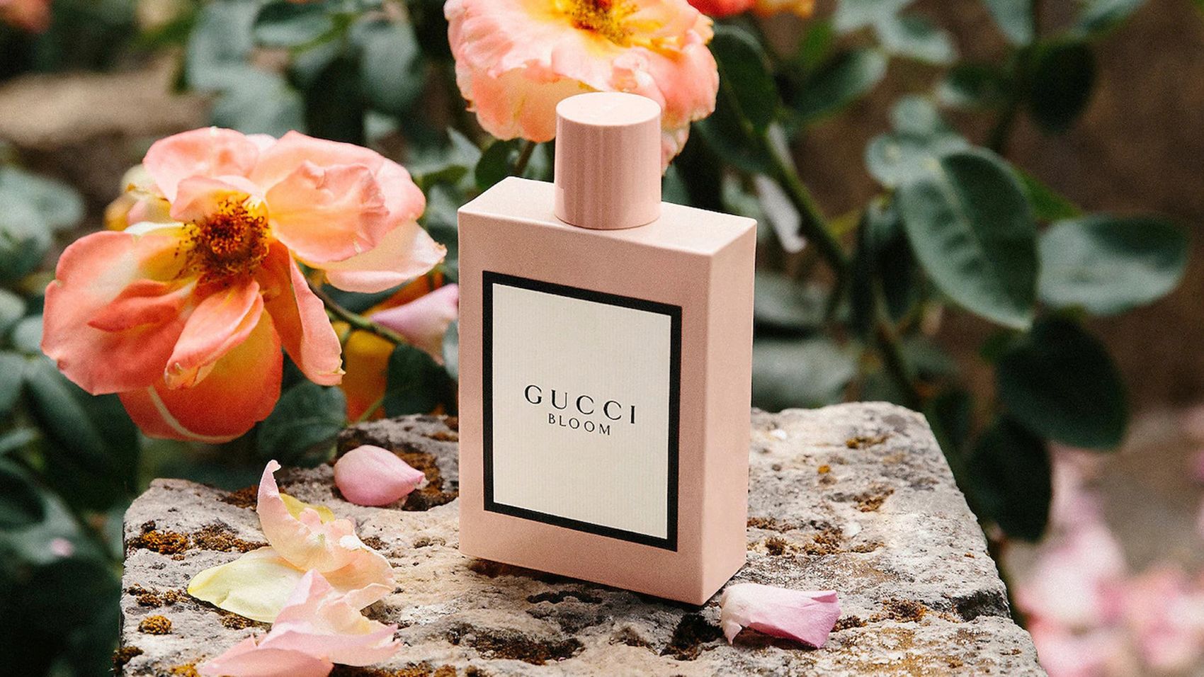 10 عطر زنانه معروف