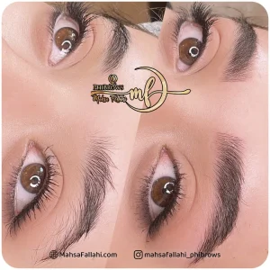 آکادمی و مرکز مهسا فلاحی